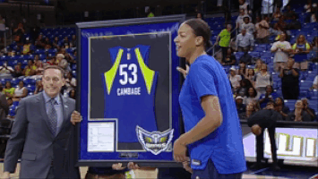 lets go smile GIF by WNBA