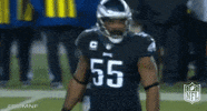 philadelphia eagles football GIF by NFL