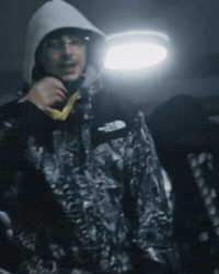 Timotheechalamet GIF by Respective