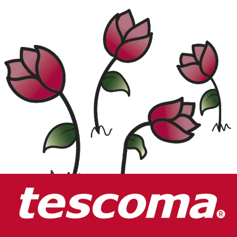 Sticker Spring Sticker by Tescoma Spain