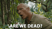 Nick Jonas GIF by Jumanji: The Next Level