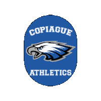 Diazateam Sticker by Diaza Football