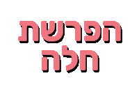 אלין כהן Sticker by ALINE COHEN