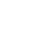 Palm Tree Summer Sticker by Casual Fridays