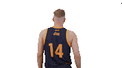 Sport Basketball Sticker by Basket_fi