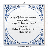 Humor Bang GIF by Tegelspreuken.nl