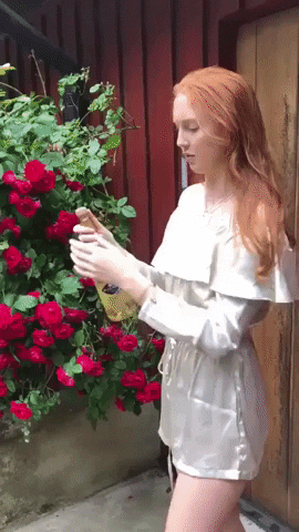 Video gif. Young woman tries to uncork a bottle of champagne, which slips out of her hand, landing on the ground and spraying up at her like a geyser.
