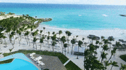 ViveCapCana cap cana GIF