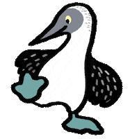 chocochacha bird 鳥 blue-footed booby くさださやか Sticker