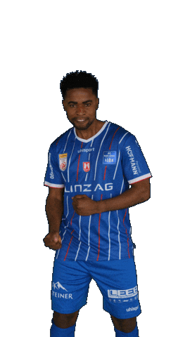 Blau Weiss Austria Sticker by FC Blau Weiß Linz