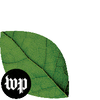 Earth Plants Sticker by The Washington Post