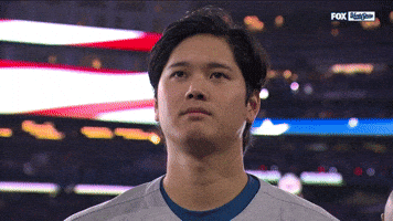 World Series Sport GIF by MLB