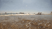 beach GIF