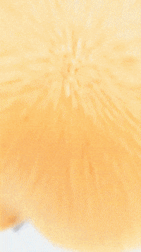 Happy Halloween GIF by Youtooz