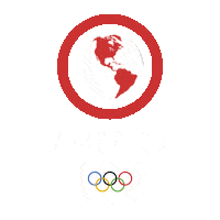 Summer Olympics America Sticker