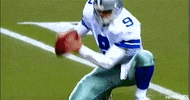 Dallas Cowboys Nfl GIF