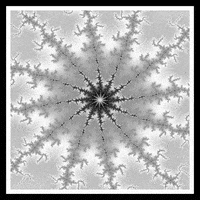Loop Nft GIF by xponentialdesign