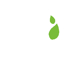 Vegan Acai Sticker by Alma Libre Açai House