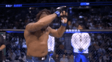 Sport Mma GIF by UFC