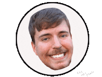 Mr Beast Sticker by Marcel Katz / The Art Plug