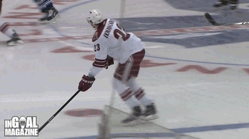 toronto maple leafs GIF