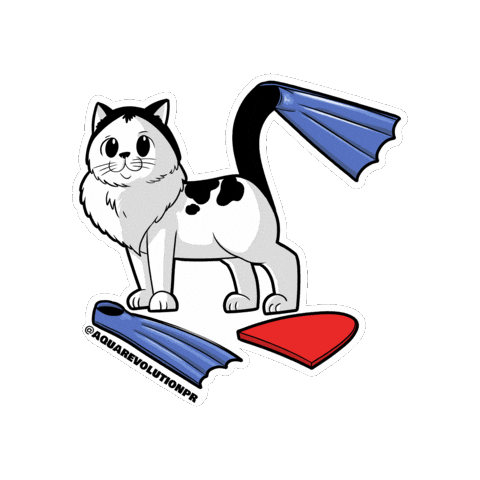 Cat Swimming Sticker by Aqua Revolution