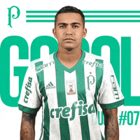 dudu GIF by SE Palmeiras