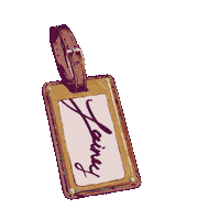 Luggage Tag Sticker by Lainey Wilson