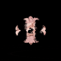 IRISCOSMETICS bunny cosmetics iris crueltyfree GIF