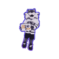 Wildcats Sticker by UNH SHARPP