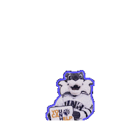 Wildcats Sticker by UNH SHARPP