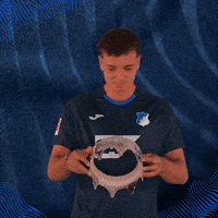 Sport Bundesliga GIF by TSG Hoffenheim