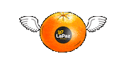 LaPazFresh tangerine lapaz mandarina mandarine Sticker