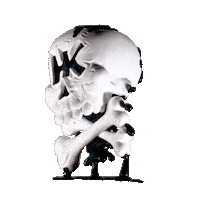 3D Skull Sticker by HK Army