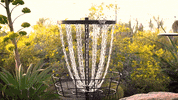 Disc Golf GIF by MVP Disc Sports
