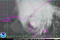 Tropical Storm Usa GIF by euronews