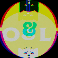 oscarandlibbys cats oscarandlibbys oscar and libbys GIF