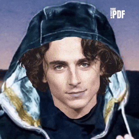 Timothee Chalamet Rebel GIF by Respective