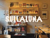 Sulla Luna GIF