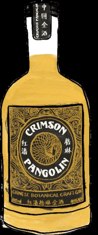 China Shanghai GIF by crimsonpangolin