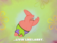 season 6 GIF by SpongeBob SquarePants