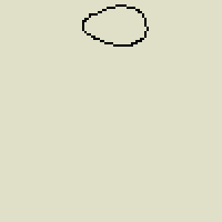 dog GIF by Dan Anthony Kelly