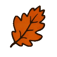 Augustoyantonela Sticker by Explora la Magia