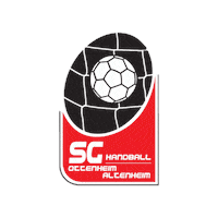 Handball Sticker by TuS Ottenheim