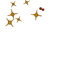 Star Sticker