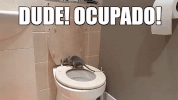 poop ocupado GIF