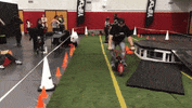 Fall Fail GIF by YIPOA