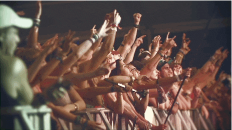 concert crowd GIF by Bonnaroo Music and Arts Festival