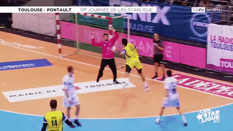 non non GIF by SASP FENIX Toulouse Handball