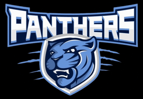 somersetpanthers giphyupload somerset academica somerset panthers GIF